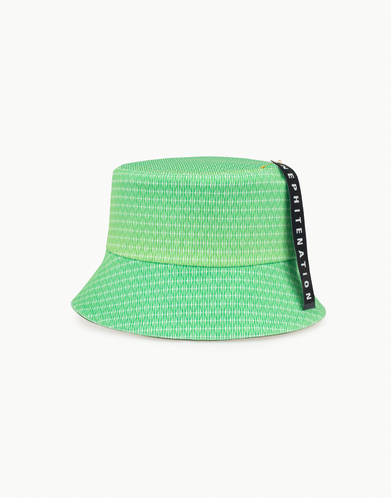 DOLLAR GREEN BUCKET HAT
